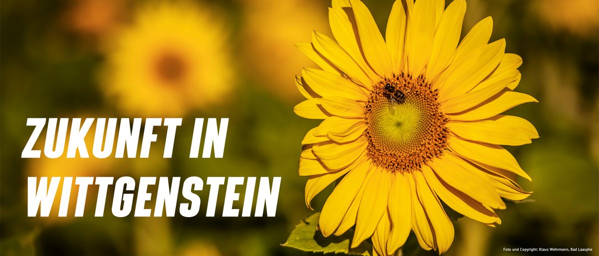 DIE GRÜNEN in Wittgenstein