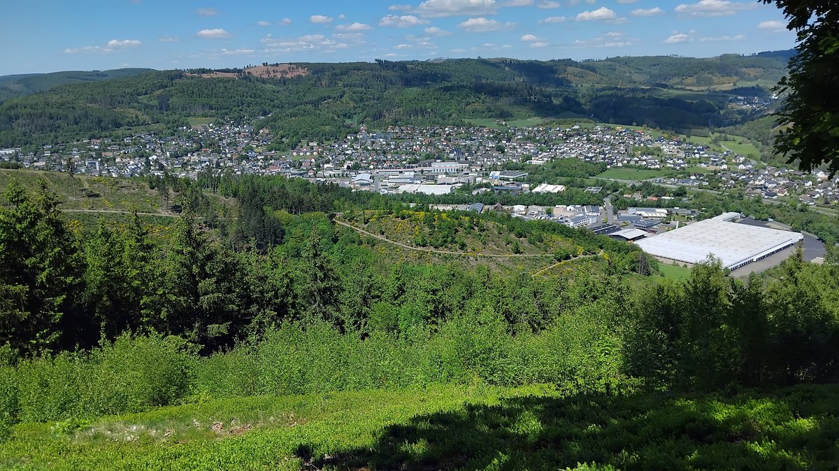 Bad Laasphe aufgenommen vom Entenberg
